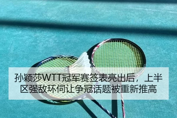 孙颖莎WTT冠军赛签表亮出后，上半区强敌环伺让争冠话题被重新推高